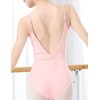 DanceDaily Adult Camisole Ballet Leotard Professional Dance Clothing for Exam,Comfort,