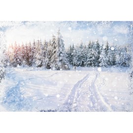 MIRRORANG 1,5x1m Snowy Forest Backdrop Winter Landscape Snowflake Trees Photography Background for Christmas Holiday New Year Celebration Poster Photo Studio Props, Vinyl