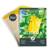Plantura Pack of 40 Yellow Plates - Fungus Gnats &