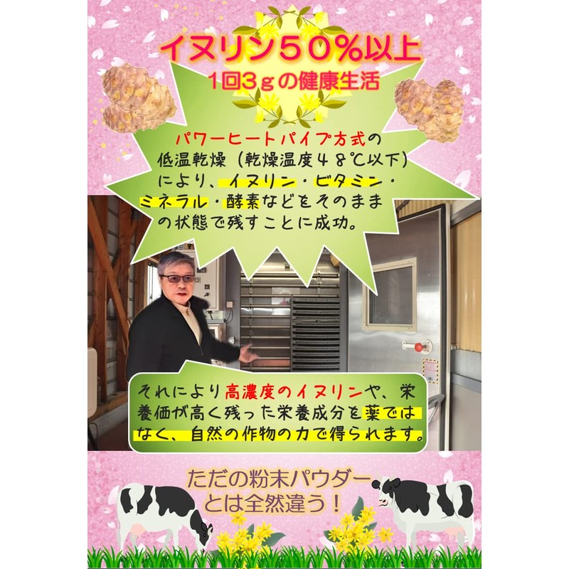 紫菊芋パウダー 高濃度イヌリン 食物繊維 無添加 無着色 無農薬 粉末 国産紫菊芋100％ / 若大