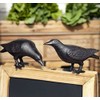 Park Hill Collection EAB82066 Cast Iron Crows, Set of 2,