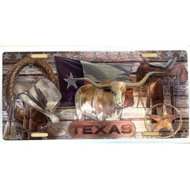 Texas Souvenir License Plate Foil Design
