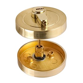 Ieron Toilet Rosette with Busy Display, Stainless Steel Rosette Set for Toilet Door Fitting, Bathroom Door Lock and Fitting, Stainless Steel Bathroom Accessories (Gold)