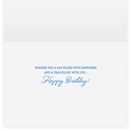 The Gallery Collection, 1 Count Card Pack, Birthday Card with Pearl Lined Envelope (Birthday Bliss)