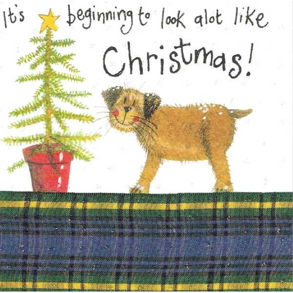 Border Terrier Christmas Cards "Christmas Star"