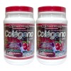 Colágeno Hidrolizado Glucosamina Biotina Arándano 2 Pzs
