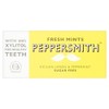 Peppersmith Sugar-Free Xylitol Lemon Mints 15g - Pack of 2