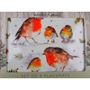 Christmas Tableware - Set of 4 Placemats - Winter Robins
