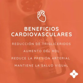 Gntval Suplemento Alimenticio Omega 3 Con Dha 60 Cpsulas 53g Apoya Salud Cerebral Y Cardiaca Fuente De cidos Grasos Esenciales Alta Concentracin Fcil 