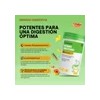 Windboss Combo Digestivo Probiotics + Enzimas | Intestinal A