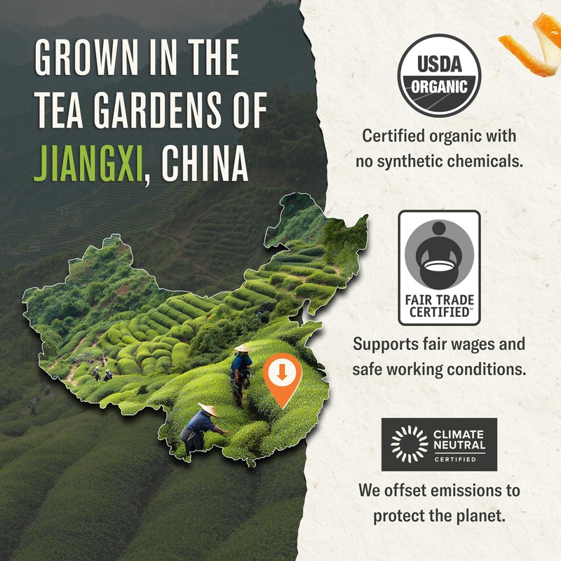 Numi Organic Jasmine Green Tea 16 Ounce Pouch Brews 200