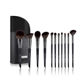 SIXPLUS Master Series Makeup Brushes Set of 11