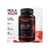 Krill Oil Omega 3 Astaxantina 2400 Mg 100 Porciones