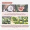 TIRTIR Mask Fit Tone Up Essence | Tinted Moisturizer, All-in-one
