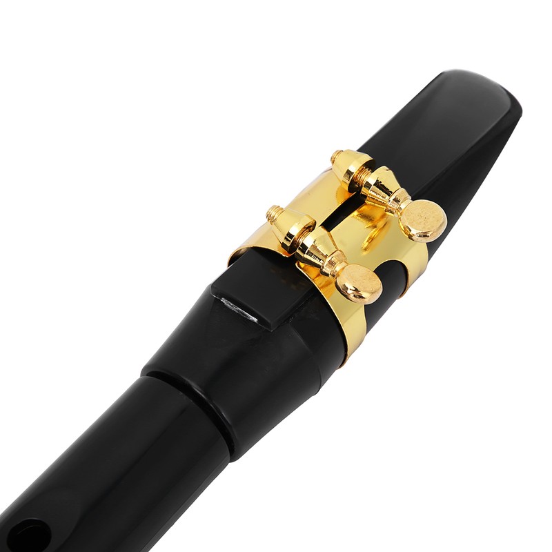 Portable Pocket Saxophone Practice Sax with Reed Bag Woodwind Instrument