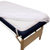 Body Linen Massage Table Cover - Reusable Barrier with Wipe
