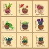 Dennty Wool Felt Kit, Succulent Needle Felt Set of 9,