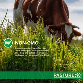 Barenbrug PastureRX Premium Grass and Forage Seed Mix, 23 lbs. (Northern and Transition)