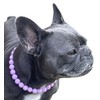 Dog Necklace (Medium (18"), Solid, Lavender)