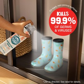 FamilyGuard Disinfectant Spray Aerosol, Antibacterial & Sanitizing Spray, Use on 100+ surfaces including where kids & pets play, Citrus Scent, 17.5 oz (Pack of 1)