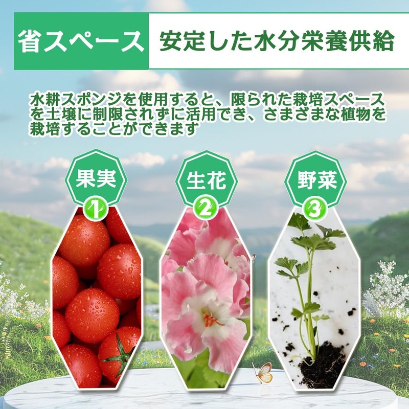 水耕栽培 水耕栽培鉢 水耕栽培スポンジ スポンジ トリミング可能 容器 通気性 野菜植え 便利性 水耕