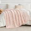 Gogreen Cozy Flannel Blanket Printed -Twin Size Bed Blanket for