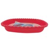 DAKE Food Defrosting Tray Plastic Quick Defrost Container Fuchsia