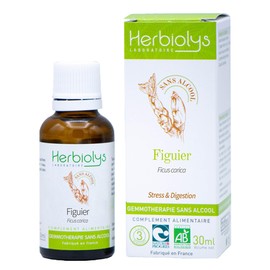 Organic Bud Macerate | Alcohol Free | Gemmotherapy | 30 ml Bottle | Herbiolys (Fig Tree)