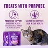 Stella & Chewy's Meowfulls Freeze Dried Cat Treats Whitefish &
