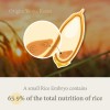 Im from Rice Serum 30ml Fortalece la Barrera Cutnea e