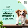 Fresh Breath Clean Teeth Oral Care Gel, 2oz