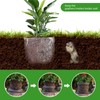 PEFECOP 5 Gallon Root Guard Basket, 6 PCS Mesh Stainless