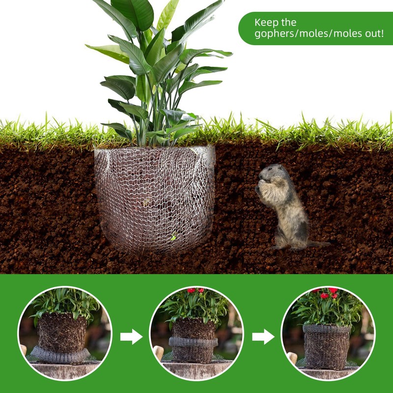 PEFECOP 5 Gallon Root Guard Basket, 6 PCS Mesh Stainless