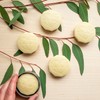 Hard Lotion Bar | Organic Beeswax and Plant based Moisturizer