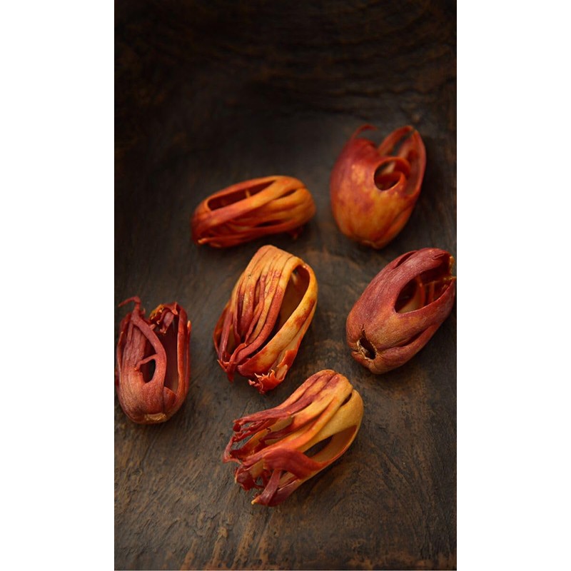 Trothic Spices Whole Javitri flower (Mace) Premium Aromatic Kerala Mace