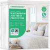 Waterproof Mattress Protector - 100% Tencel Lyocell, College Dorm Essential,