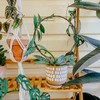 Acrux7 10 Pcs Circle Trellis for Climbing Plants Indoor Small