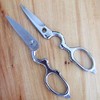 Kitchen Scissors Stainless Steel Disassemble Made in Japan Diamond Wood