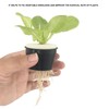 50PCS Soilless Hydroponic Root Fixer Planting Baskets Plant Grow Hydroponic