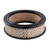 Ryco Air Filter (A238)