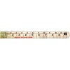 1 Decimal Foot Stainless Steel Ruler, Engineer Scale, 12 Inch