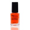 Stamping Nail Polish Neon Set Red Yellow Green Pink Purple