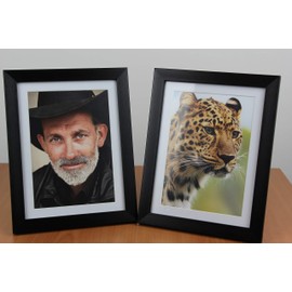 PPD Inkjet Premium Plus Photo Paper 280 g Satin, Instant Dry, Waterproof PPD-86-50, 50 x 5 x 7 Inches