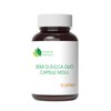 Semi di Zucca Olio Capsule Molli - 70 Softgels -