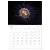 Fireworks (Monthly Wall Calendar 2026 16.5" x 23.4" (open)), CALVENDO
