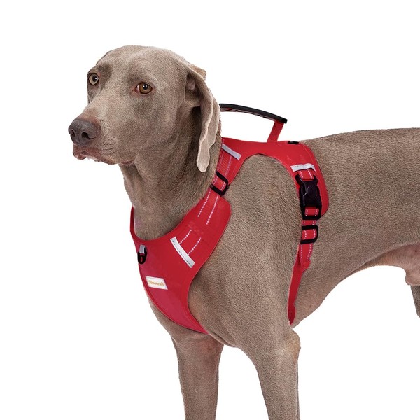 Abuandi Dog Harness Adjustable Breathable Dog Harness with No Pull