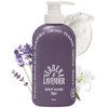 [odiD] Milk Insella Perfumed Body Wash, 16.9 fl oz (500