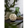 Best Season Solar Light/W The Glory, 12 x 13 x