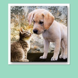Hamilco Colored Scrapbook Cardstock Paper 12x12 Card Stock Paper 65 lb Cover 25 Pack (Dandelion Yellow)