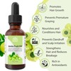 Relaxcation Amla Fruit Oil 1 oz – Cold Pressed Natural